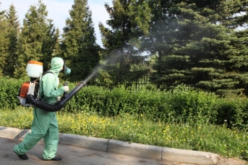 Уничтожение комаров в Краснозаводске